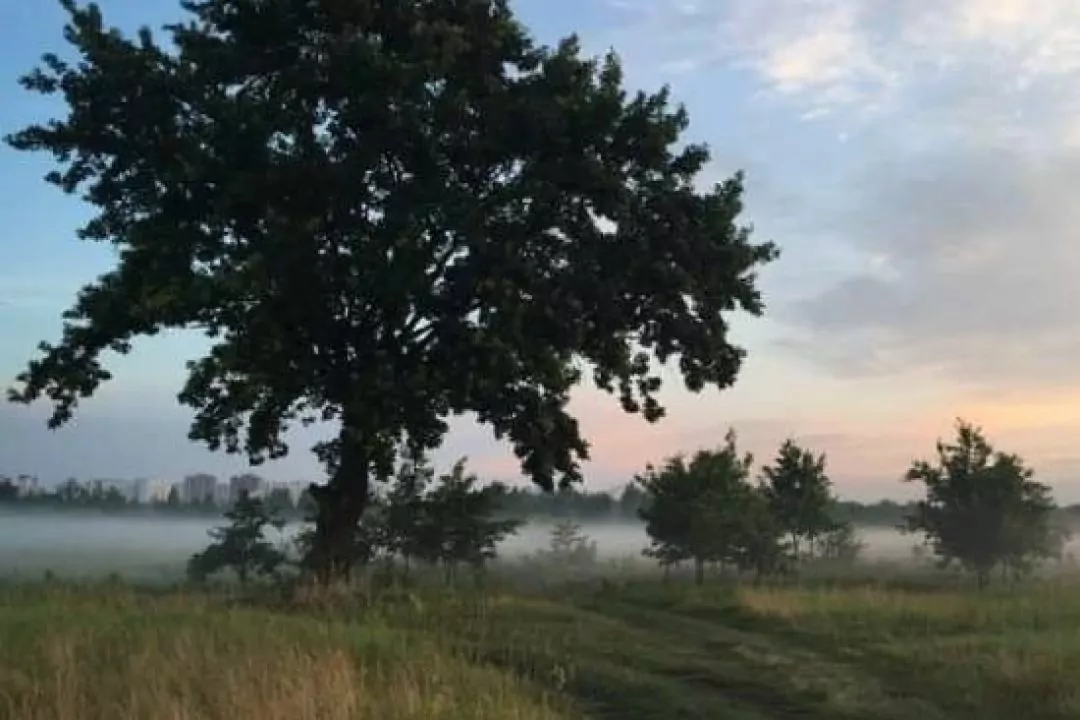 &ldquo;Осокорківські луки&rdquo; під загрозою знищення: забудовник хоче скасувати статус заказника через суд