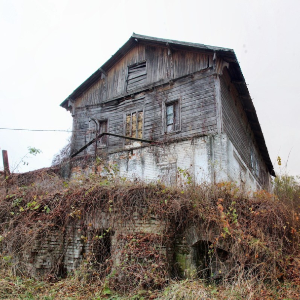 Частину колишнього палацу Браницьких на Київщині продають за 20 тисяч доларів