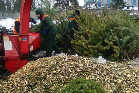 На Троещине начал работать пункт переработки елок