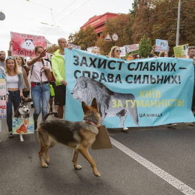 Как прошел Марш за животных в Киеве