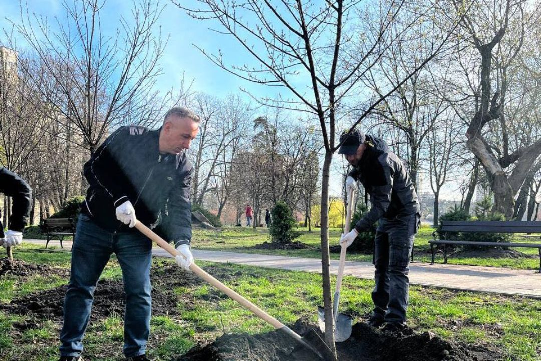 На вихідних у Києві висадили 200 дерев та понад 500 кущів