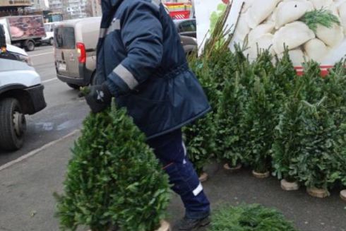 Київ очищають від незаконних ялинкових ярмарків: демонтували майже 30 точок