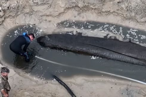 Вблизи Хортицы на дне обмелевшего Днепра нашли тысячелетнюю лодку-долбанку