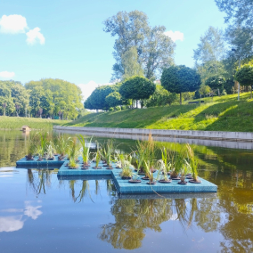 У водоймах Києва почали встановлювати плавучі острови: де їх можна знайти та для чого вони потрібні