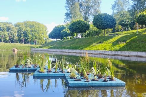 У Києві з'явилися плавучі острови: де їх знайти та для чого вони потрібні