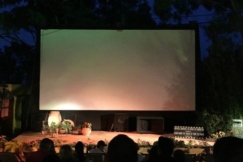 На Певчем поле будет работать летний кинотетар