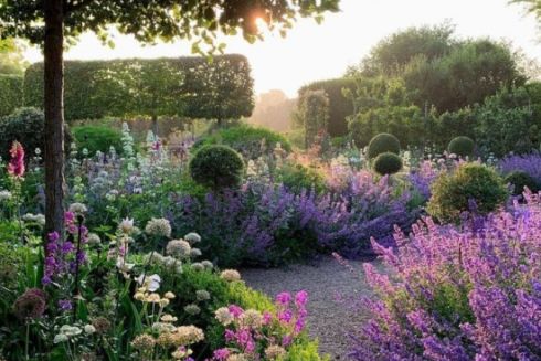 На ВДНГ створюють терапевтичний сад для відновлення ветеранів: що там буде