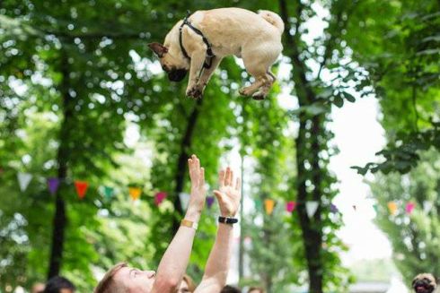 Незвичайні стартапи: подарунки для дітей та тварин