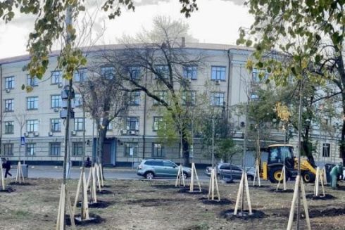 На Контрактовой площади высадили 25 сакур: фото