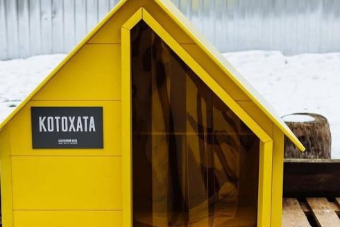 У Києві встановлюють будиночки для бездомних котів