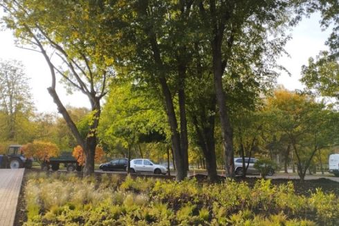 На Солом’янці озеленили парк «Орлятко»: фото