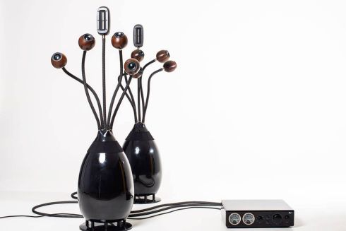 Фізик з Одеси створює акустичні системи з кокосового горіха. Ціна однієї 14 тисяч євро