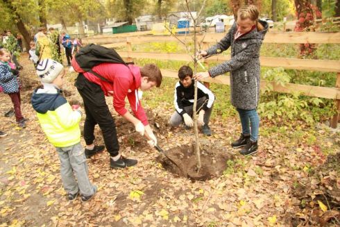В Гидропарке появилась Аллея Киевских школ