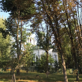 Суд зобов'язав Київраду надати «Крістеровій гірці» статус заповідника