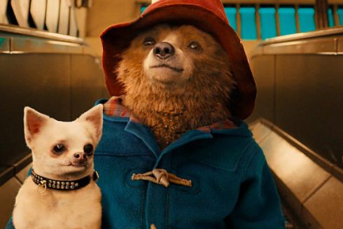 Паддінгтон у Перу, Бріджит Джонс: Найочікуваніші фільми 2025 року