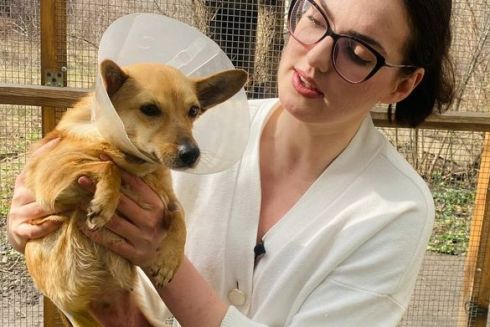 Рятує тварин і збирає гроші на притулок у TikTok: Історія зоозахисниці з Маріуполя