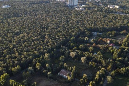 Як Київ втрачає 80 гектарів парків щороку і що з цим робити