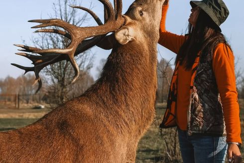 Оленяча ферма, сироварня і ранчо: 7 місць для відпочинку недалеко від Києва