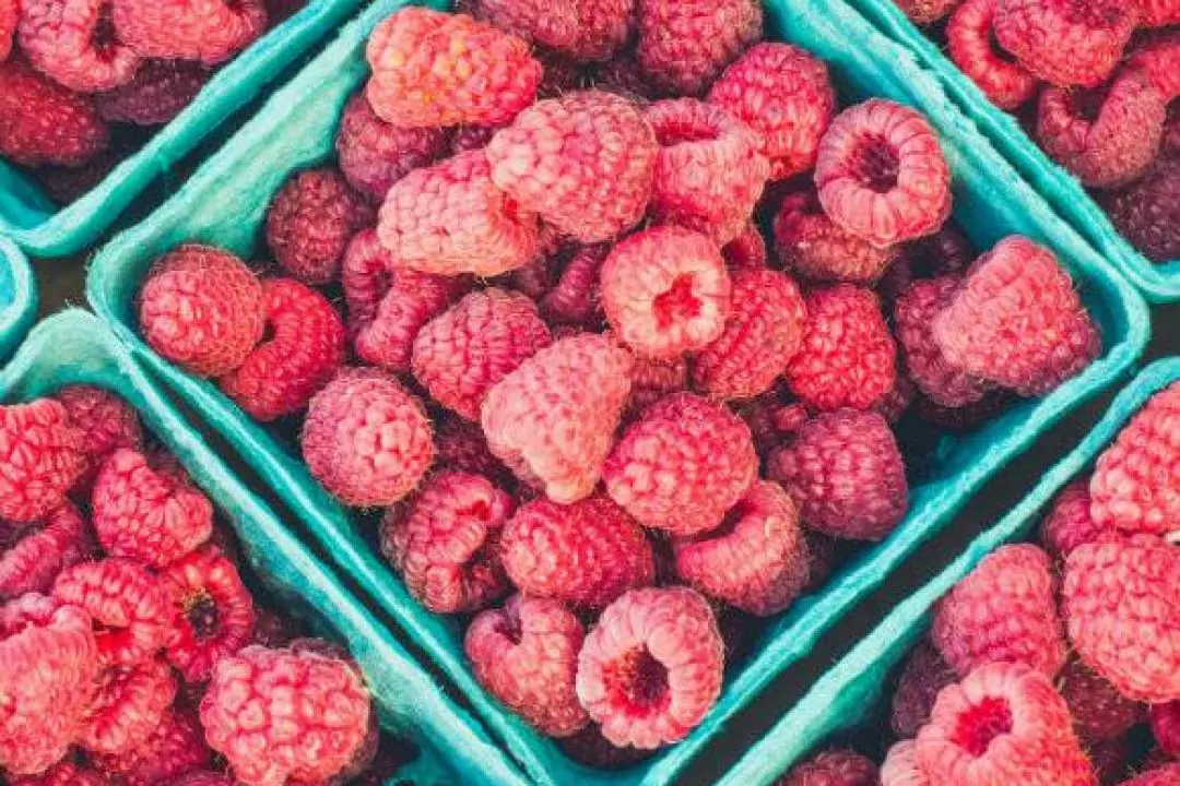 Что готовить в июле: рецепты блюд из сезонных продуктов