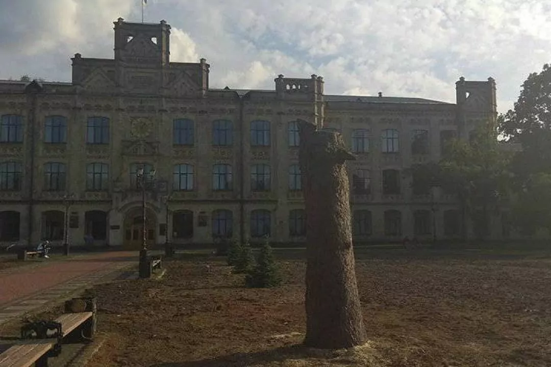 У парку КПІ спиляли дерева. Одному з них було 100 років
