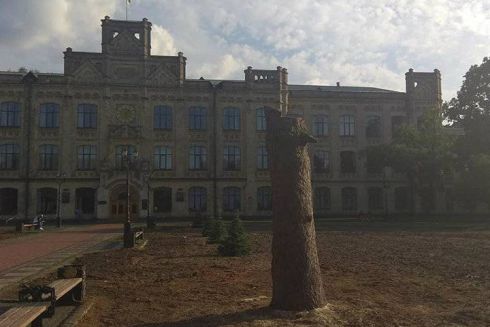 У парку КПІ спиляли дерева. Одному з них було 100 років