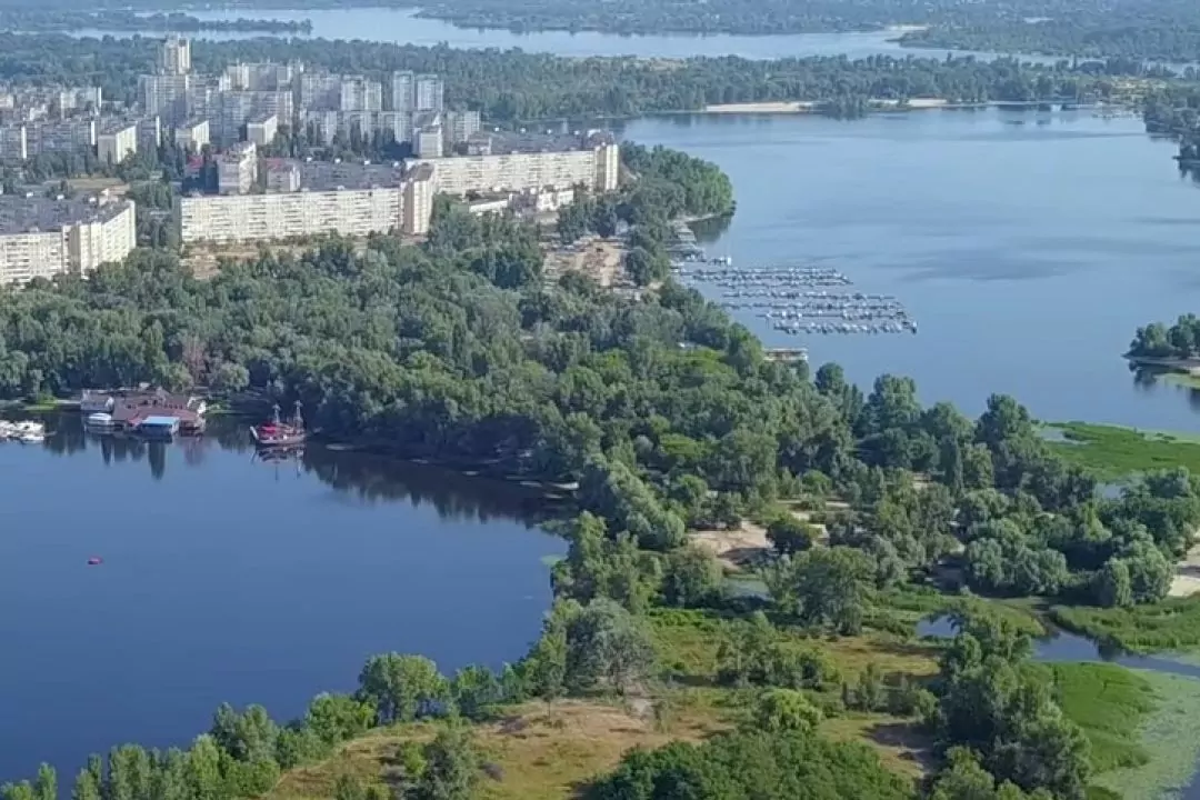 На Прирічній, де хочуть збудувати парковку за 120 мільйонів, вирубують дерева