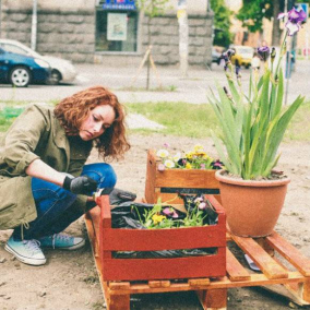 Городские огороды Киева: Где выращивают рукколу, базилик, лаванду и арахис