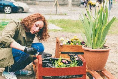 Городские огороды Киева: Где выращивают рукколу, базилик, лаванду и арахис