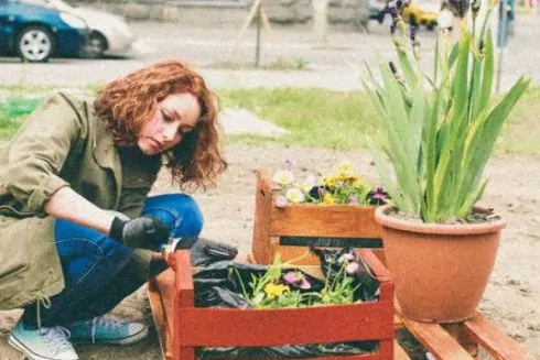 Городские огороды Киева: Где выращивают рукколу, базилик, лаванду и арахис