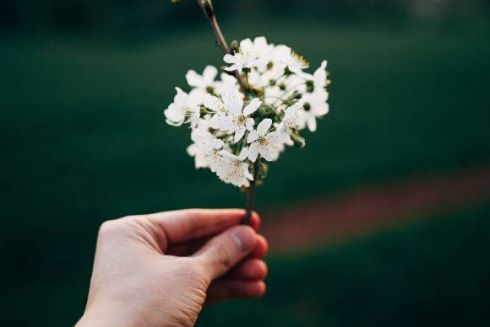 Лучшее за неделю: на моноколесе по городу, поездки-сюрпризы и рецепты из сезонных продуктов