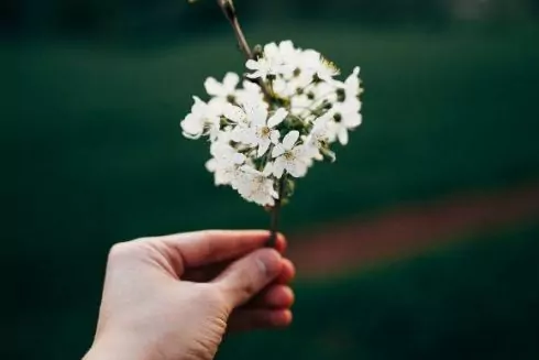 Лучшее за неделю: на моноколесе по городу, поездки-сюрпризы и рецепты из сезонных продуктов