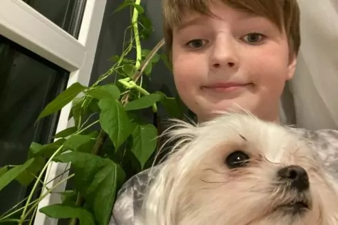 Київський школяр створив &ldquo;домашній город&rdquo; і продає органічну городину