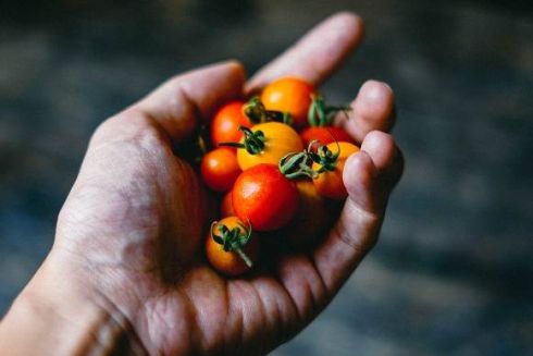 Что готовить в августе: рецепты блюд из сезонных продуктов