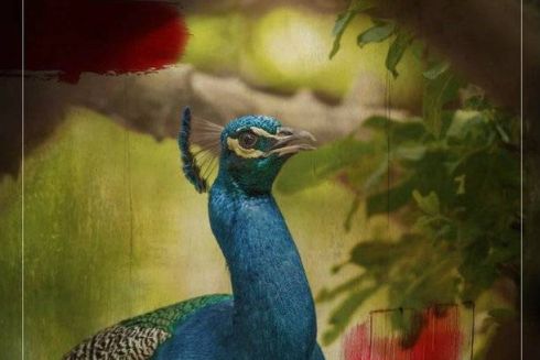 На Большой Васильковской открылся ресторан вьетнамской кухни от Эктора Хименес-Браво