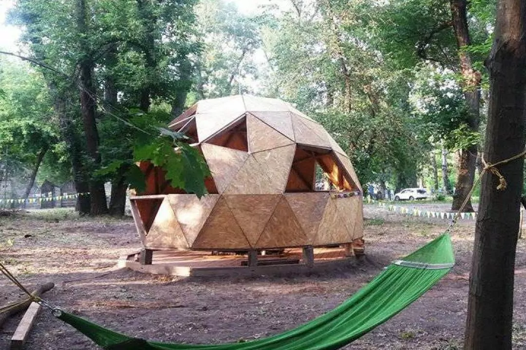 Кафе на деревах &laquo;Скворечник&raquo; переїхало до Гідропарку