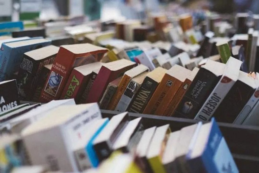 На территории Plivkа открывается книжный