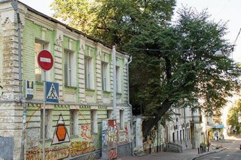 Мешканці Михайлівського провулка не дали комунальникам зрізати 120-річну липу