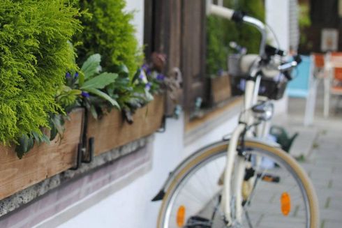 На Подоле открывается велокафе с веганской кондитерской