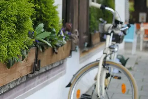 На Подоле открывается велокафе с веганской кондитерской