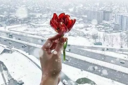 Instagram дня: Первый снег в Киеве