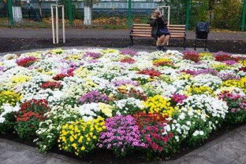 Как выглядит сквер на месте МАФов возле КПИ