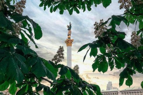 Что не так с обрезкой деревьев в Киеве: объясняют арбористы и &laquo;Киевзеленстрой&raquo;