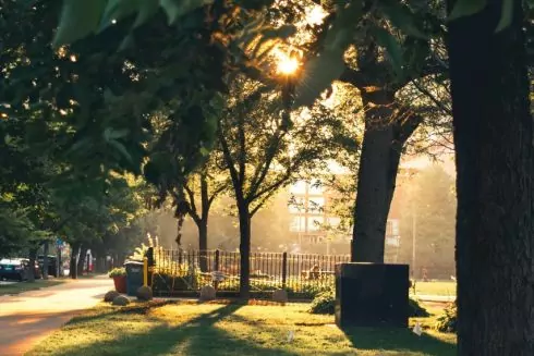 В Киеве будет создадут еще 41 сквер: там запретят строительство