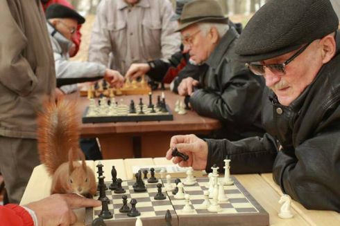 В парке Рыльского появилась шахматная площадка и WiFi