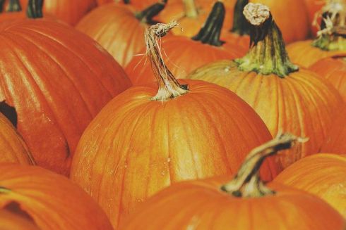 Де шукати смачний хліб, гарний посуд і зимове взуття