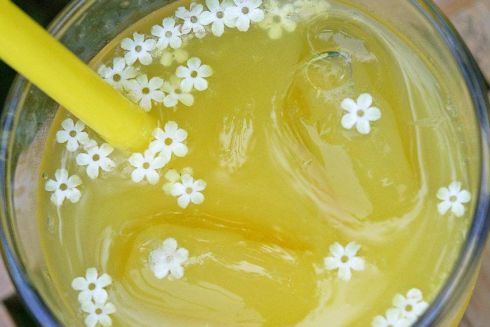 День лимонаду: список місць, де випити і допомогти дітям