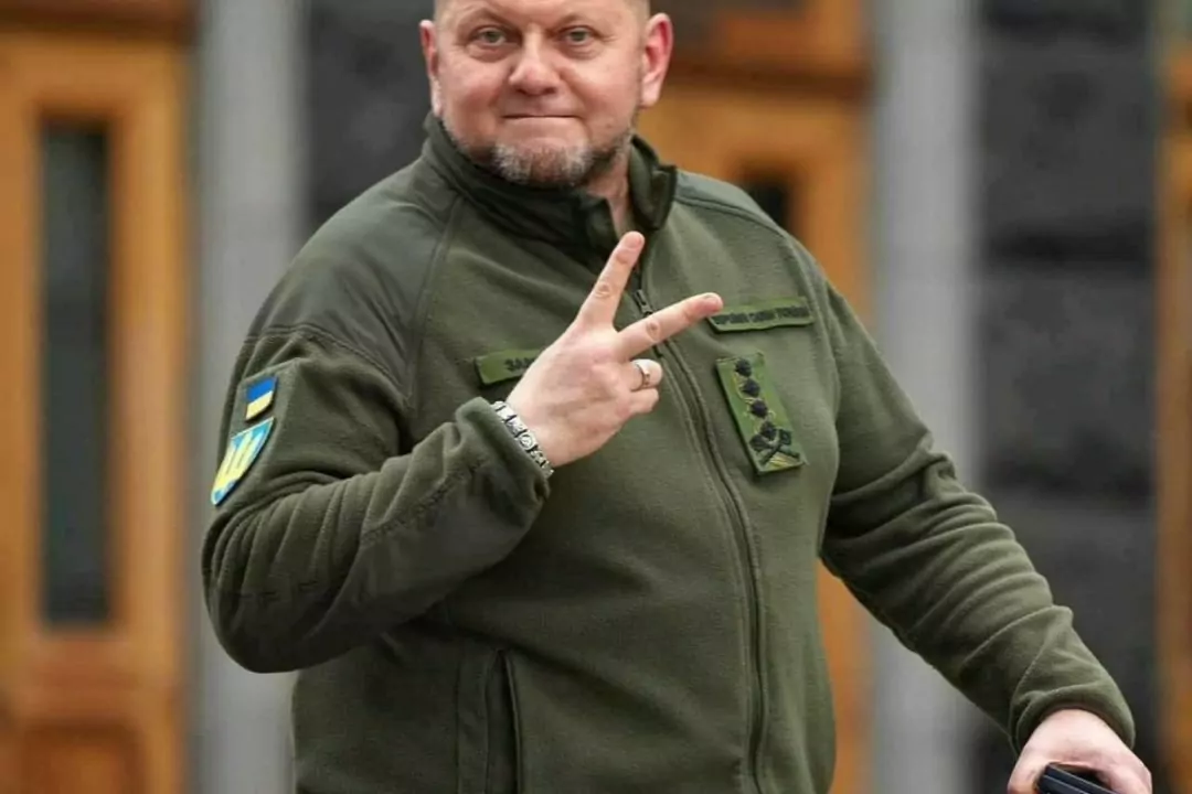 Что носит Залужный: 6 украинских брендов одежды и снаряжения для военных