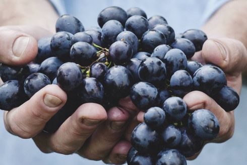 Гід Вуличною їжею, історія фестивалю «Трухани» і нові мурали в Києві