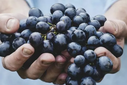 Гид по Уличной еде, история фестиваля &laquo;Труханы&raquo; и новые муралы в Киеве