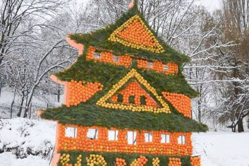 Як виглядає Цитрусовий фестиваль від Київзеленбуду на Співочому полі